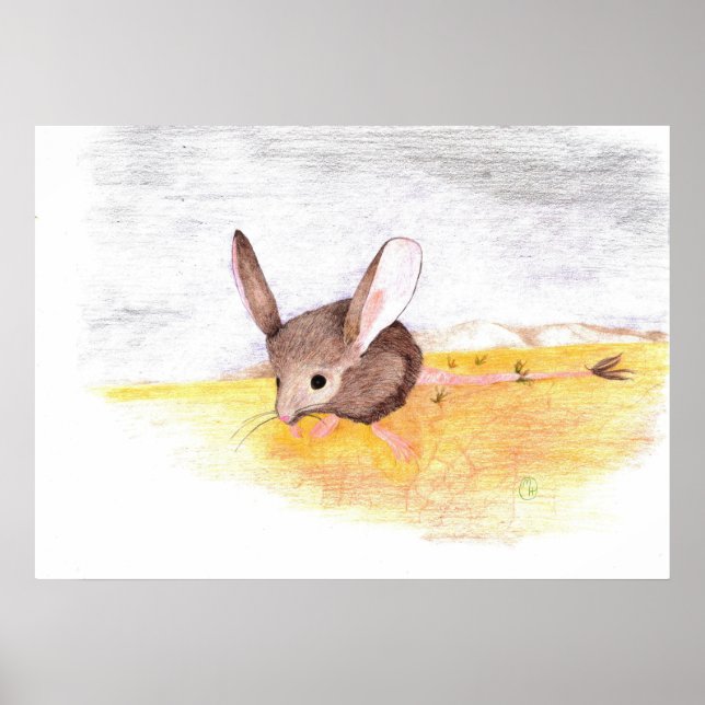 Dry Mouse Poster (Front)