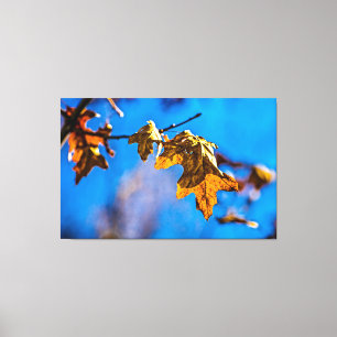 Dry oak leaf - Spring is nor far off Canvas Print