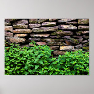 Dry Stone wall Poster