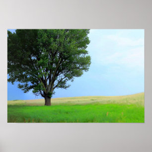 Dry Storm Over Oklahoma Grasslands III (Col Sat) Poster