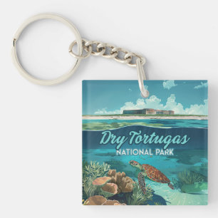 Dry Tortugas Parc National Floride Turtle