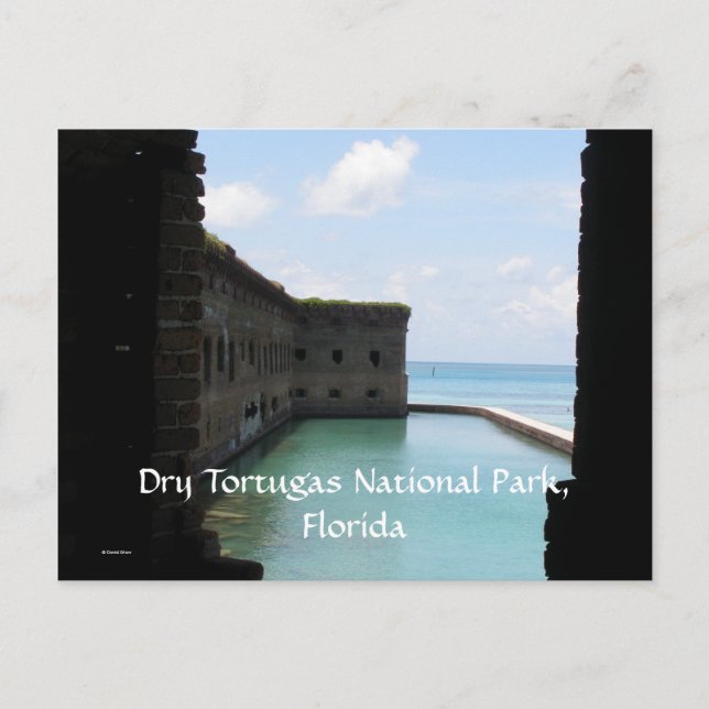 Dry Tortugas Postcard (Front)