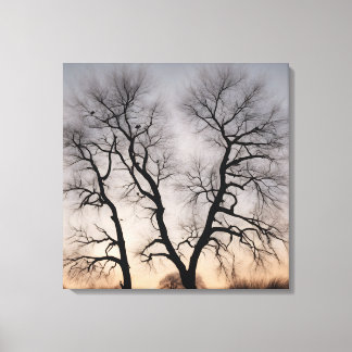 Dry tree in the desert canvas print