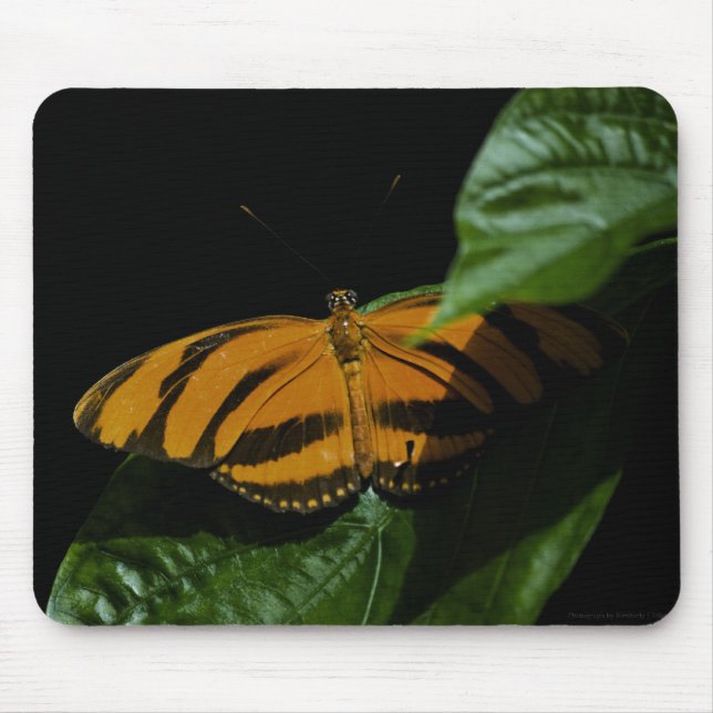 Dryad Mousepad (Front)