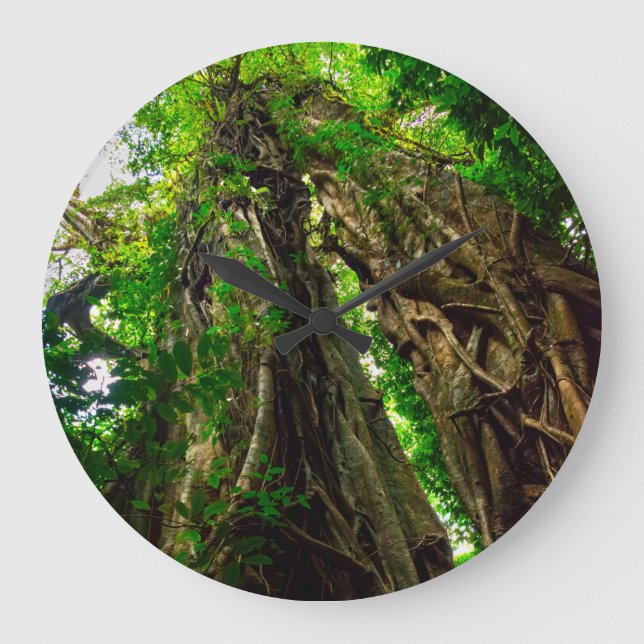 Dryad Strangler fig tree Large Clock (Front)