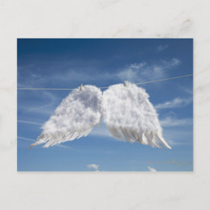 Drying angel's wings. postcard
