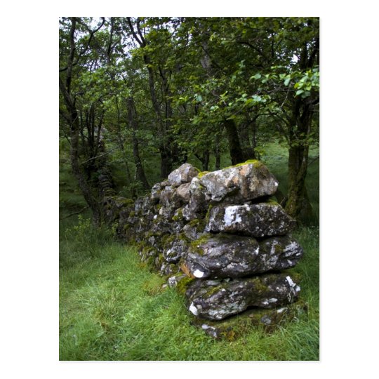 Drystone Wall Postcard