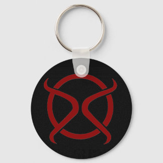 DS Keychain