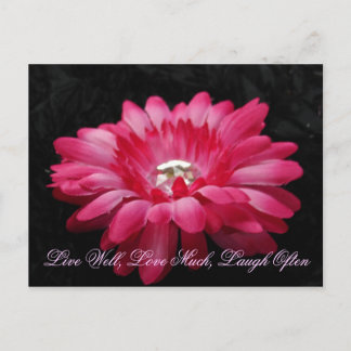 DSC00005 (2), Live Well, Love Much, Laugh Often Postcard