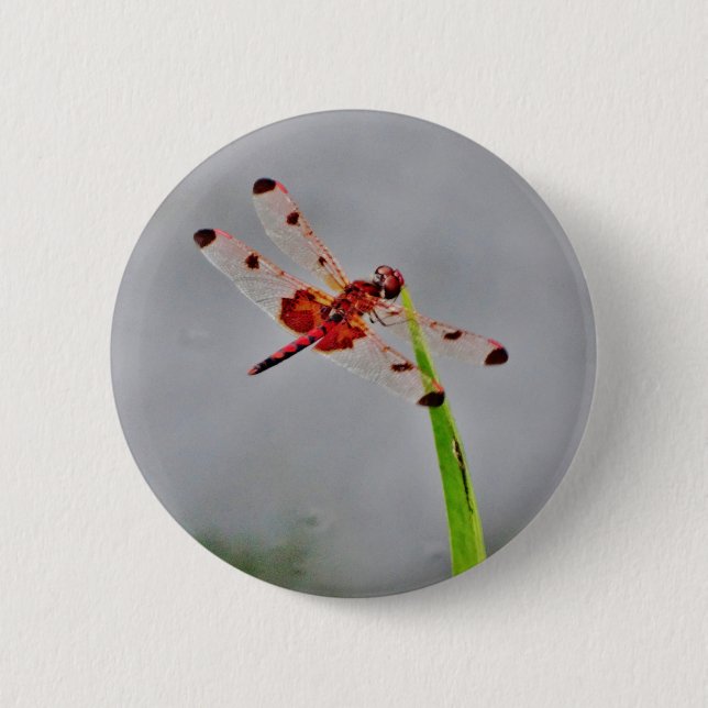 DSC00029.JPG 2 INCH ROUND BUTTON (Front)