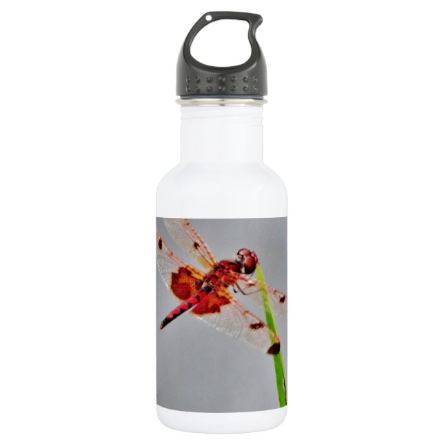 DSC00029.JPG 532 ML WATER BOTTLE (Front)
