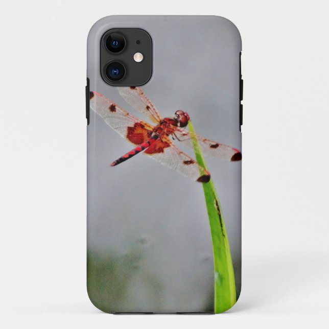 DSC00029.JPG Case-Mate iPhone CASE (Back)