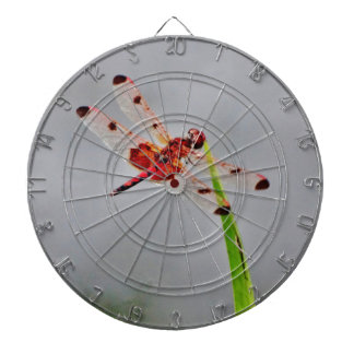 DSC00029.JPG DARTBOARD