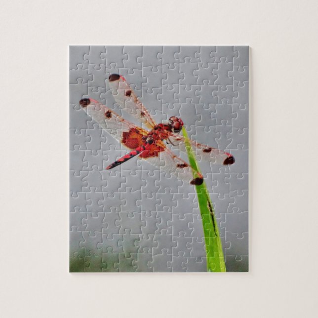 DSC00029.JPG JIGSAW PUZZLE (Vertical)
