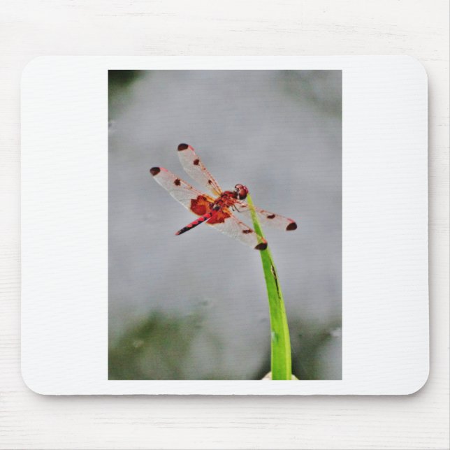 DSC00029.JPG MOUSE PAD (Front)