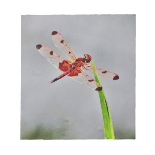 DSC00029.JPG NOTEPAD (Front)