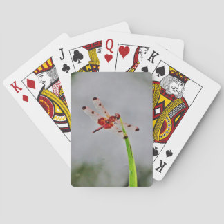 DSC00029.JPG PLAYING CARDS