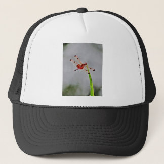 DSC00029.JPG TRUCKER HAT