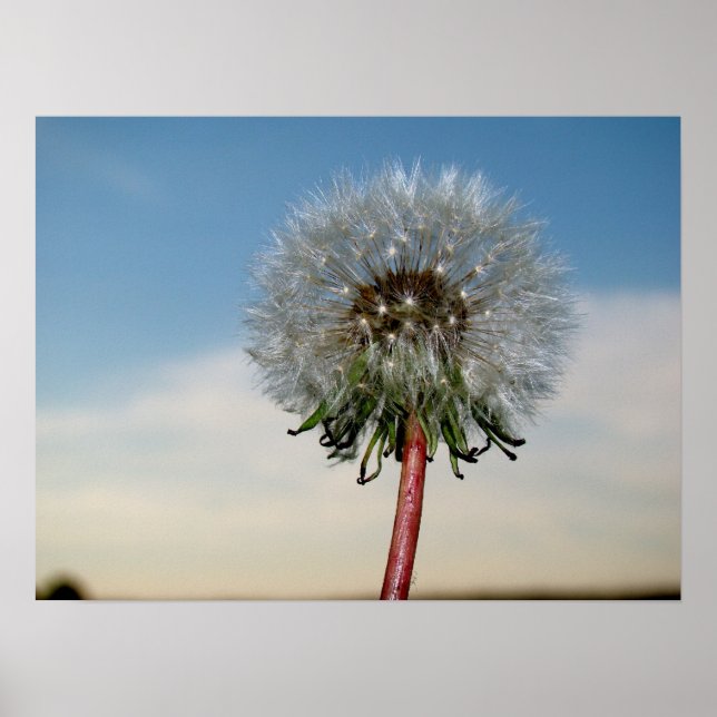 DSC00033 POSTER (Front)