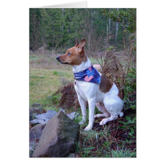 DSC00088 Rat dog Rick