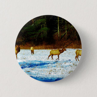 DSC00131.JPG 2 INCH ROUND BUTTON