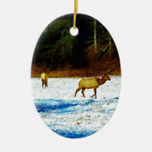 DSC00131.JPG CERAMIC ORNAMENT