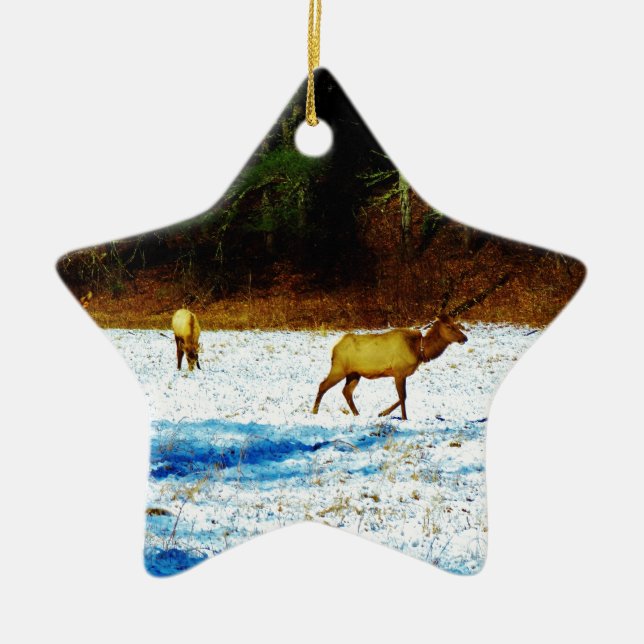 DSC00131.JPG CERAMIC ORNAMENT (Front)