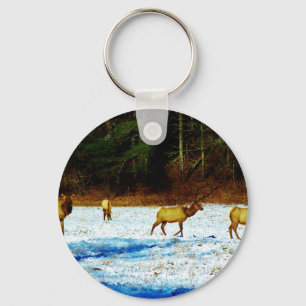 DSC00131.JPG KEYCHAIN