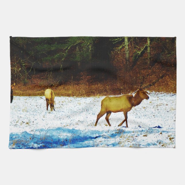 DSC00131.JPG KITCHEN TOWEL (Horizontal)