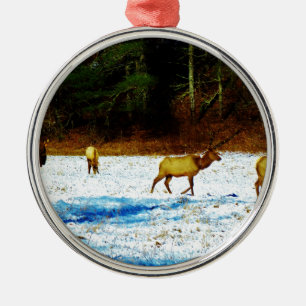 DSC00131.JPG METAL ORNAMENT