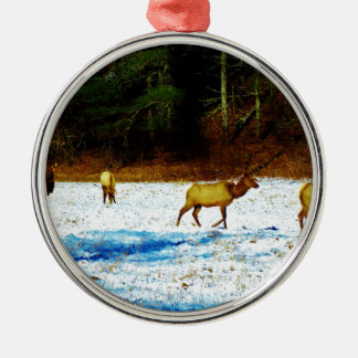 DSC00131.JPG METAL ORNAMENT