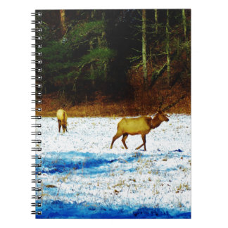 DSC00131.JPG NOTEBOOK