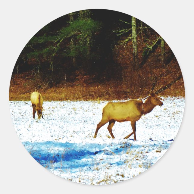 DSC00131.JPG STICKER (Front)