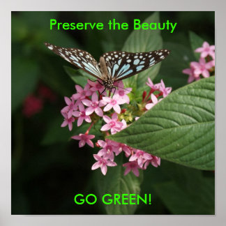 DSC00407, Preserve the Beauty, GO GREEN! Poster