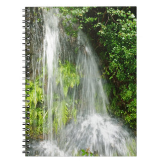 DSC00450.JPG NOTEBOOK