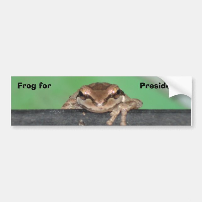 DSC03824, Frog for, President... Bumper Sticker (Front)