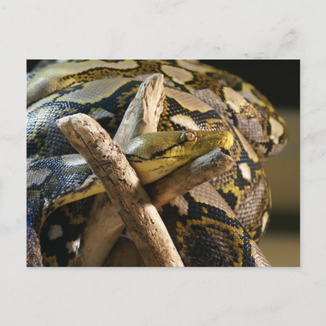 DSC04222 POSTCARD (Front)