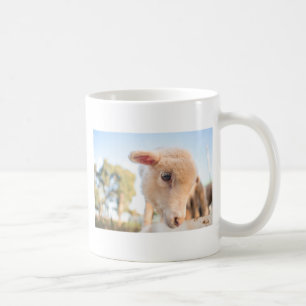 _DSC2491 COFFEE MUG