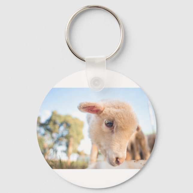 _DSC2491 KEYCHAIN (Front)