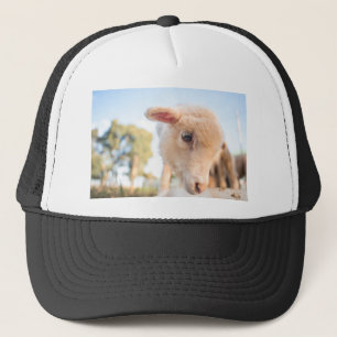 _DSC2491 TRUCKER HAT