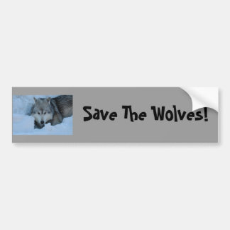 DSC_2225, Save The Wolves! Bumper Sticker