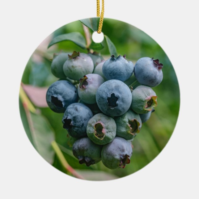 DSC_4190 CERAMIC ORNAMENT (Front)