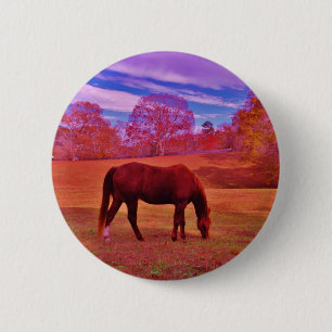 DSCF0536.JPG 2 INCH ROUND BUTTON