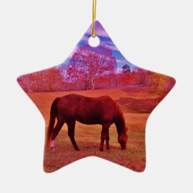 DSCF0536.JPG CERAMIC ORNAMENT (Front)