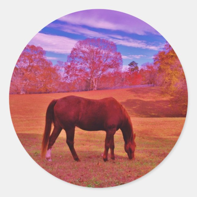 DSCF0536.JPG CLASSIC ROUND STICKER (Front)