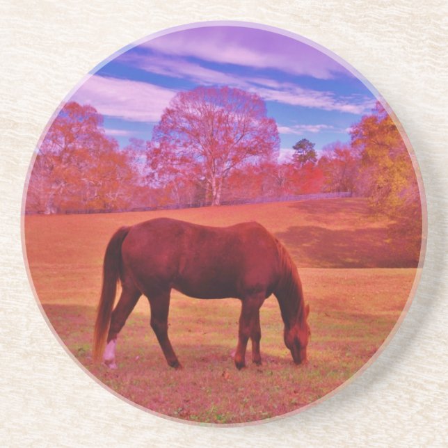 DSCF0536.JPG COASTER (Front)
