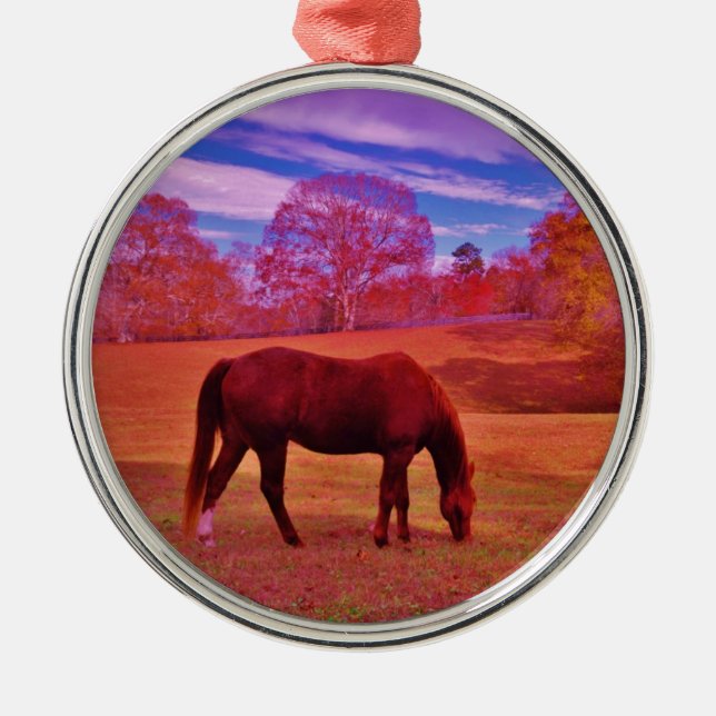 DSCF0536.JPG METAL ORNAMENT (Front)