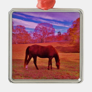 DSCF0536.JPG METAL ORNAMENT