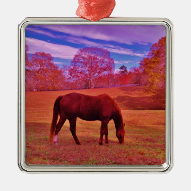 DSCF0536.JPG METAL ORNAMENT (Front)