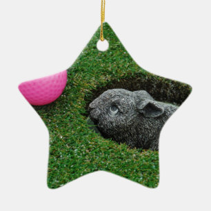 DSCF0652.JPG CERAMIC ORNAMENT